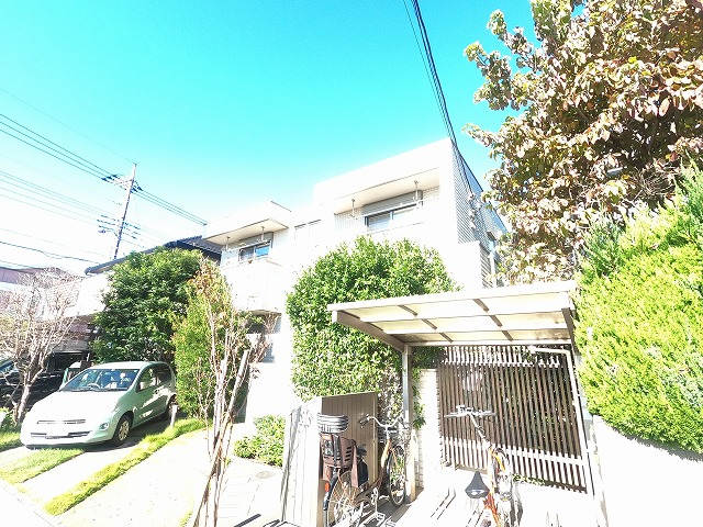 3024画像