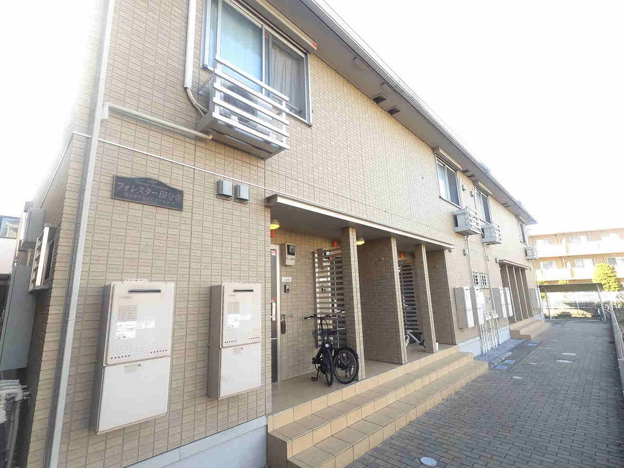 3096画像